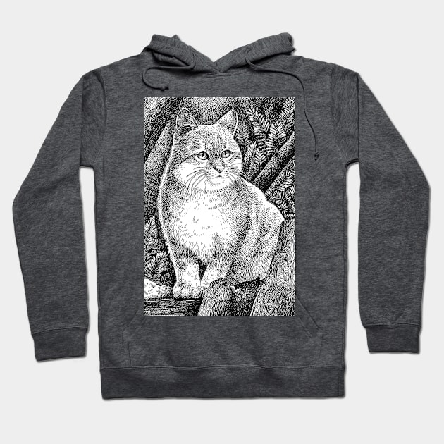 Wild cat Hoodie by NatureDrawing